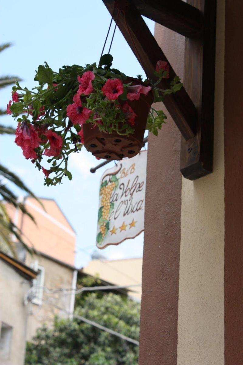 La Volpe E L'Uva B&B Piazza Armerina Eksteriør bilde